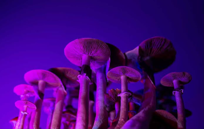 LSD